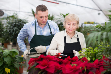 Adult woman and man are watered flowers and try secateurs together