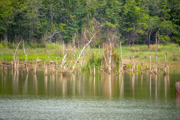 Obraz premium Mountain lake landscape