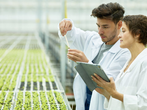 Team Of Scientists Exploring Plants