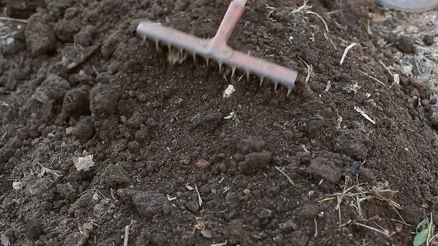 the farmer makes beds for planting organic and environmentally friendly vegetables. Work in the garden
