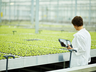 Woman with tablet in agricultural plant