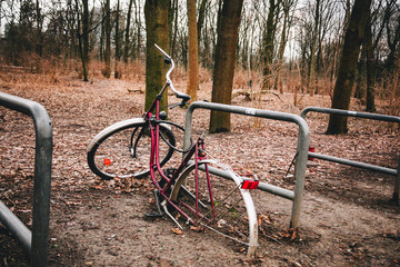 abandoned bicycle in a park