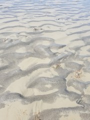 Bretagne, France, Ille-et-Vilaine