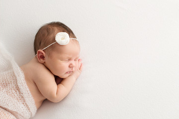 Sleeping newborn girl on a white background. Photoshoot for the newborn. 7 days from birth. A portrait of a beautiful, seven day old, newborn baby girl - obrazy, fototapety, plakaty