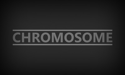 Chromosome