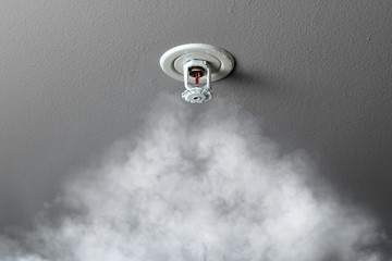 fire alarm sprinkler system in action with smoke - obrazy, fototapety, plakaty