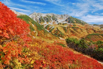 立山 / 富山　　秋・紅葉