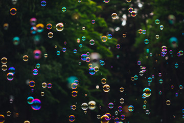 soap bubbles on green nature background