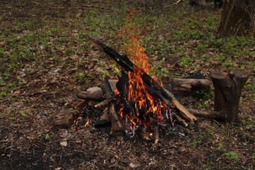 A bonfire in the forest, a red fire flame