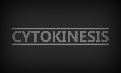 Cytokinesis