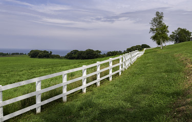 White fence along green grass field 