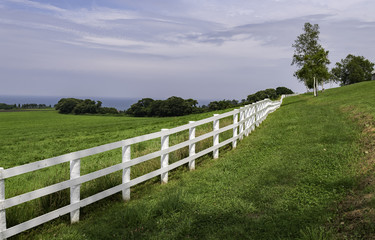 Fototapeta premium White fence along green grass field 