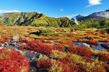 立山 / 富山　　秋・紅葉