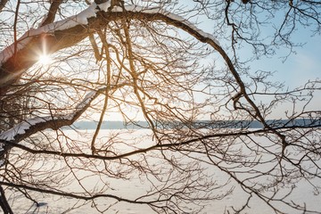 Fototapeta na wymiar abstract branches with lake view in scandinavia
