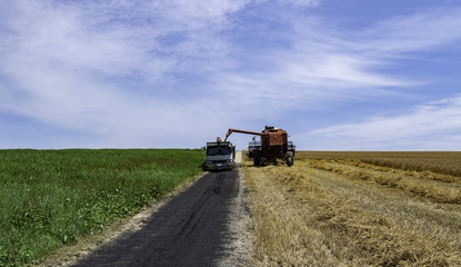Combine harvester transfer rice to truck in the field