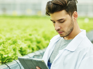 Man with tablet working in agronomy