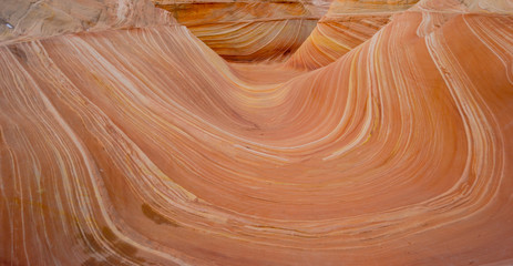 The Wave in Arizona. A magical place to visit!