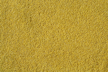 Yellow millet background. Polished millet texture and details