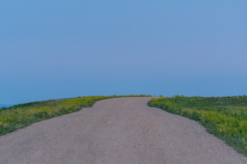 Dirt Road Winds Up through Field