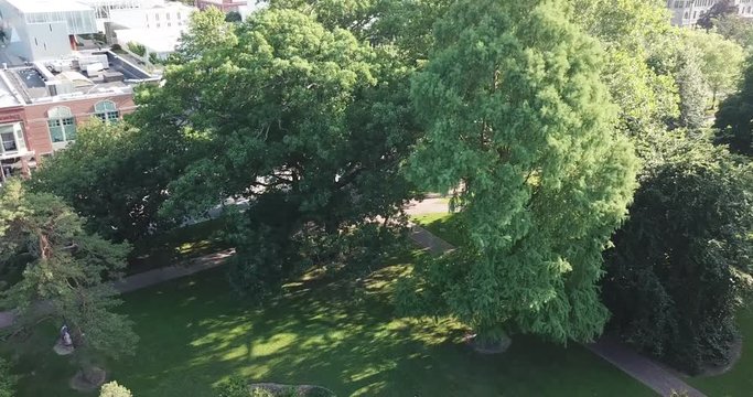 Drone video of a large black sedan traveling through small all americancollege town during the afternoon
