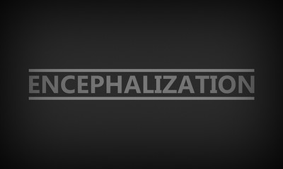 Encephalization