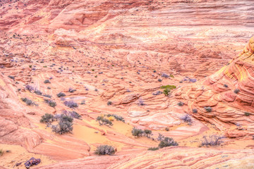 The Wave in Arizona. A magical place to visit!