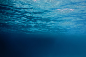 Underwater view of the sea surface © allexxandarx