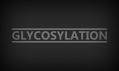 Glycosylation