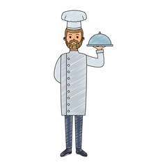 Male chef holding dish vector illustration graphic design
