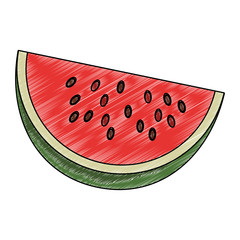 Watermelon sliced fruit vector illustration graphic design