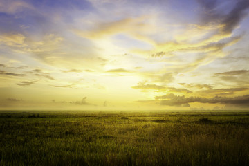 Fototapeta na wymiar Empty grassland and sky at evening time