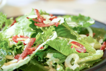 Vegetable salad with ham ham bacon and mozzarella.