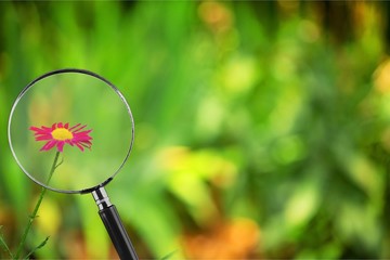 Magnifying glass on a natural background