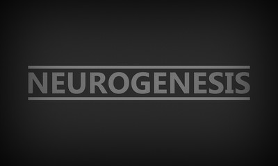 Neurogenesis