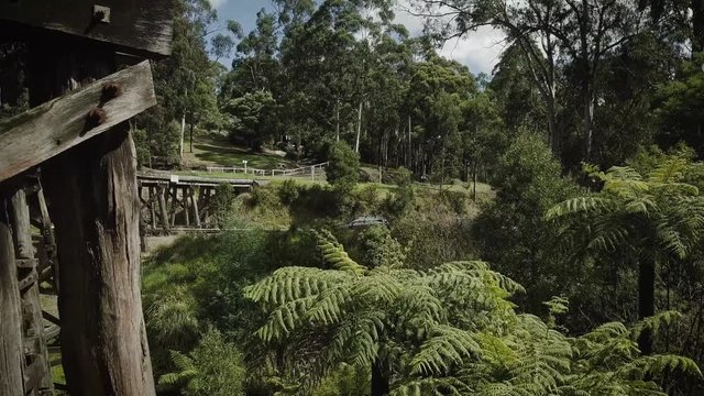 Flying through the Puffing Billy Trestle Bridge in Melbourne Australia