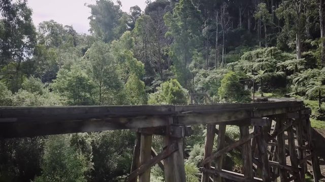 Rising above the Puffing Billy Trestle Bridge in Melbourne Australia
