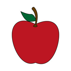 Apple fruit isolated vector illustration graphic design