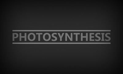 Photosynthesis