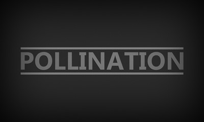 Pollination