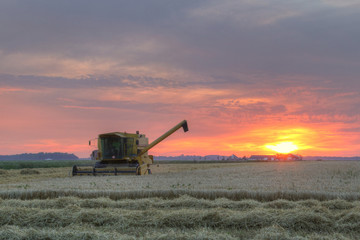 Fototapeta premium Combining during sunset