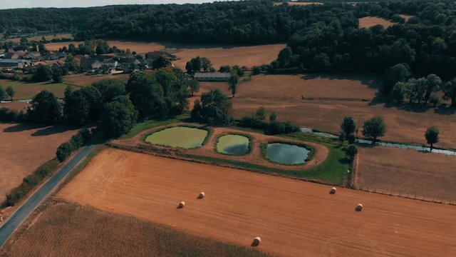 Aerial view of crop wheat or rye field with stook hay straw bales. Three small lakes and river. Harvest agriculture farm rural aerial 4k video