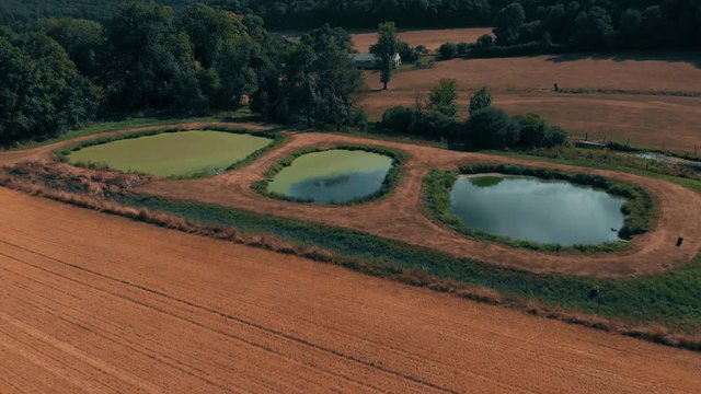 Aerial view of crop wheat or rye field with stook hay straw bales. Three small lakes and river. Harvest agriculture farm rural aerial 4k video