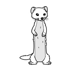 Cartoon White Mongoose