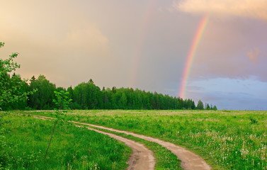 Naklejka na ściany i meble road in a field with a rainbow and forest on the horizon