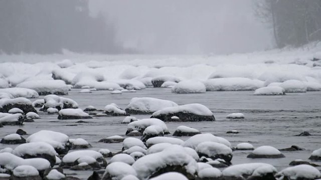 Stones with snow caps in the water of Altai Biya river under heavy snow in winter season