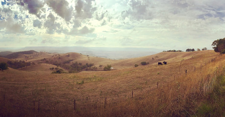 Sweeping vista of the rolling hills leading up to the Blue Mountains in Australia. 