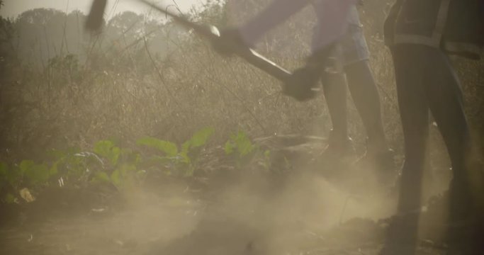Local young men working the field in Livingstone, Zimbabwe.