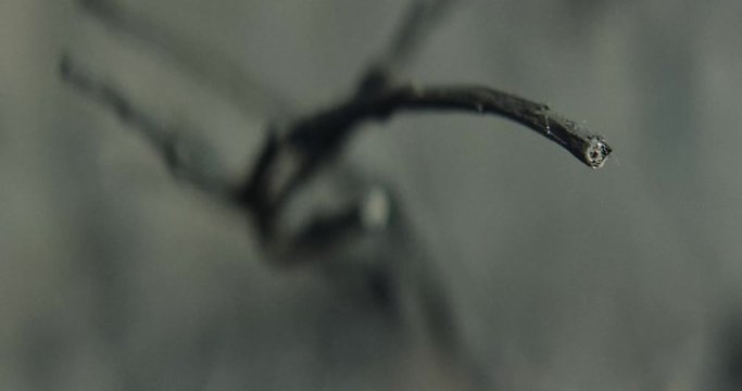 Shot on Red 6k 85fps