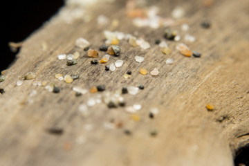 Piece of driftwood with some tiny sand rocks on it macro closeup