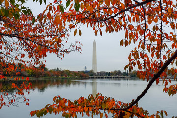 Washington Monument as seen from Tidal Basin in autumn - Washington DC United States of America